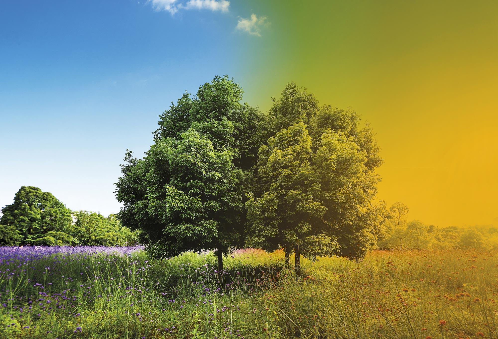 CuCC- Cátedra Cambio Climático