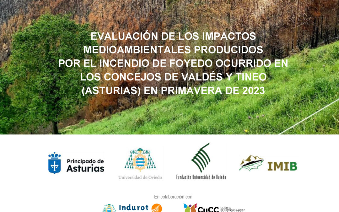Evaluación de los impactos medioambientales producidos por el incendio de Foyedo (Asturias) ocurrido en primavera de 2023