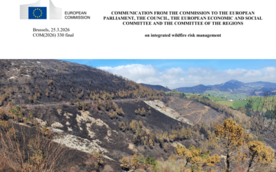 Estrategia europea integrada de gestión del riesgo de incendios forestales y cambio climático