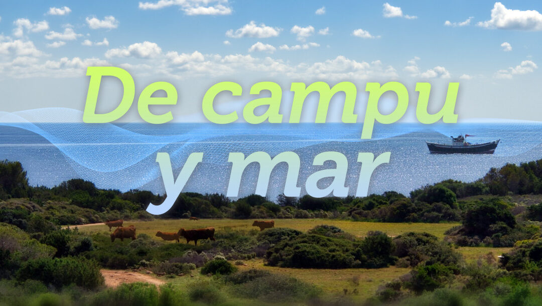Programa de la RPA De campu y mar: la CuCC analiza los efectos del cambio climático sobre el sector primario asturiano