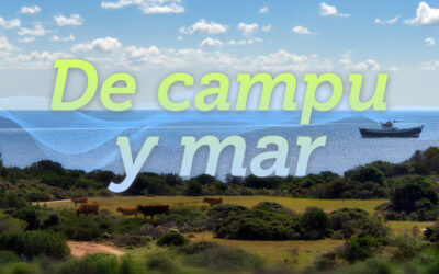 Programa de la RPA De campu y mar: la CuCC analiza los efectos del cambio climático sobre el sector primario asturiano