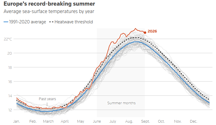 Gráfico Reuters